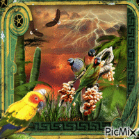 Exotic birds/Parrots... - GIF animado gratis