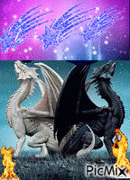dragon jumaux - Gratis geanimeerde GIF