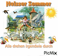 sommer animuotas GIF