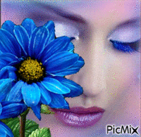 bela azul - Zdarma animovaný GIF