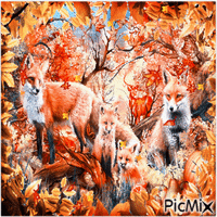 Der Fuchs im Herbst