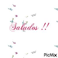 Saludos - Zdarma animovaný GIF