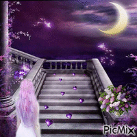 Purple Night GIF animé