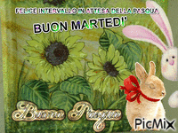 BUON MARTEDI' - 無料のアニメーション GIF