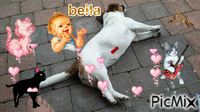 bella - 免费动画 GIF