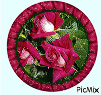 rose médaillon - GIF animé gratuit