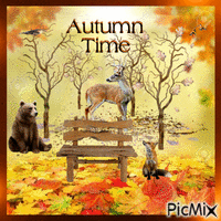 Autumn time 2020 1 GIF animé