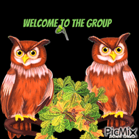 welcome owl animēts GIF