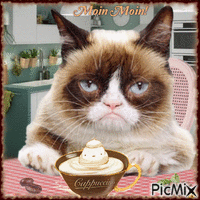 Katze mit Cappuccino