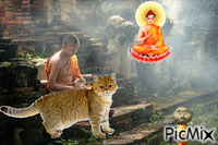 De monjes, dioses y gatos geanimeerde GIF