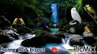 cascade oiseaux - GIF animado gratis