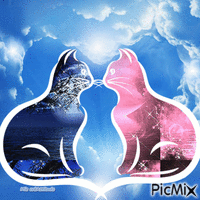 Amours de chats 动画 GIF