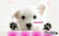 le chien qui parle - 無料のアニメーション GIF