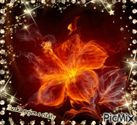 hořící růže - Besplatni animirani GIF