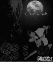 Pięknej nocy - 無料のアニメーション GIF