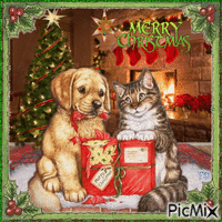 Weihnachten/ Hund und Katze