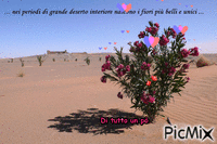 deserto - Darmowy animowany GIF