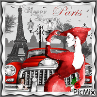 Femme à Paris avec sa voiture Animated GIF