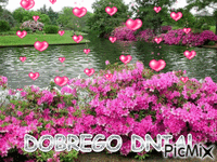 DOBREGO - Δωρεάν κινούμενο GIF
