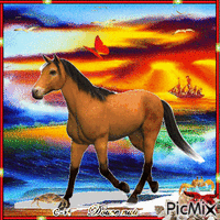 fanfan le cheval - Free animated GIF