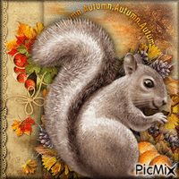 Squirrel in Autumn-RM-10-26-23