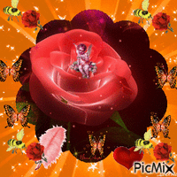 F.Rózsa - Bezmaksas animēts GIF