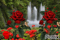 cachoeira florida - GIF animado gratis