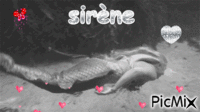 Sirène - GIF animado grátis