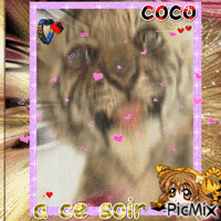 coco Animated GIF