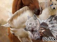 indien amerique cheval loup plume Gif Animado
