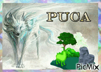 PUCA - Free animated GIF