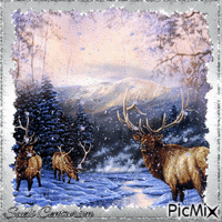 Animal selvagem no inverno - GIF animado grátis