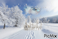 chevaux d'hiver - Бесплатный анимированный гифка