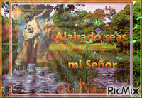 mi senor - Бесплатный анимированный гифка
