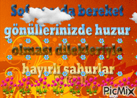 Erdoğan Şahin - Бесплатни анимирани ГИФ