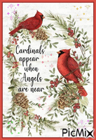 Cardinals Birds and Angels - Gratis geanimeerde GIF