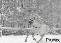 Schönheit im Schnee - Ingyenes animált GIF