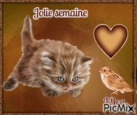 Jolie semaine les chatons animovaný GIF