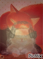 Sueños de gato geanimeerde GIF