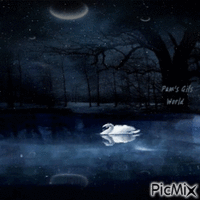 Swan Lake Animated GIF