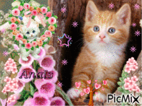 titre : chats et fleurs roses ^^ animált GIF