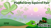 Playful Grey Squirrel Pair - GIF animé gratuit