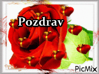 pozdrav - Безплатен анимиран GIF