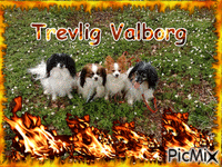 Valborg animasyonlu GIF