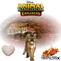 Animal Kingdom Explorers In Seattle Animated GIF