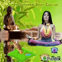 Jumpy Sulawesi bear cuscus анимиран GIF