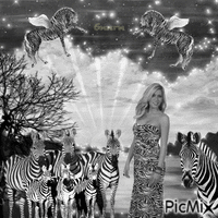 Zebra jurk - GIF animé gratuit