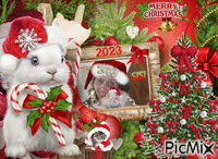 moi et panpan christmas 2023 Animated GIF