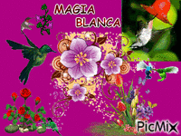 MAGIA BLANCA - 無料のアニメーション GIF