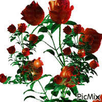 Rosas - Безплатен анимиран GIF